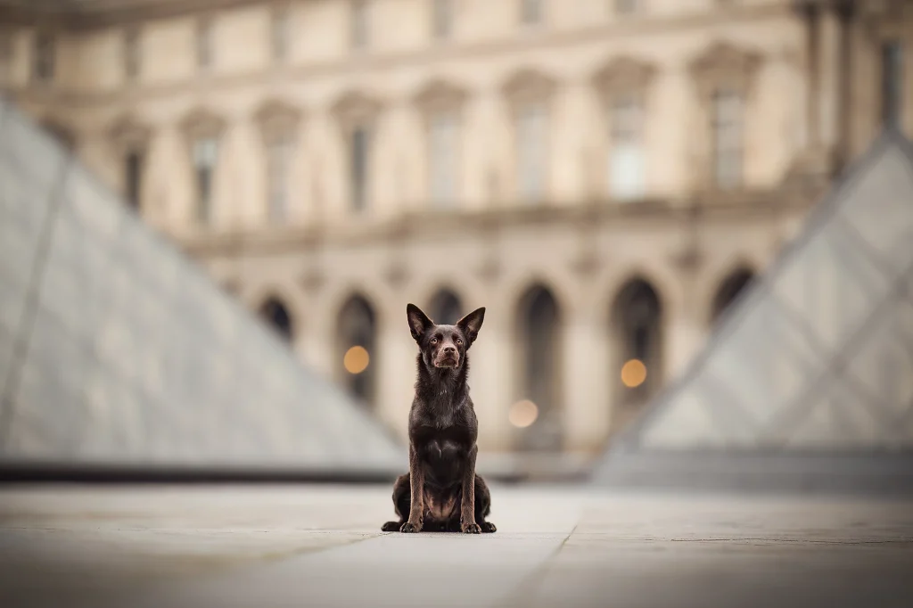 seance-kelpie-paris-