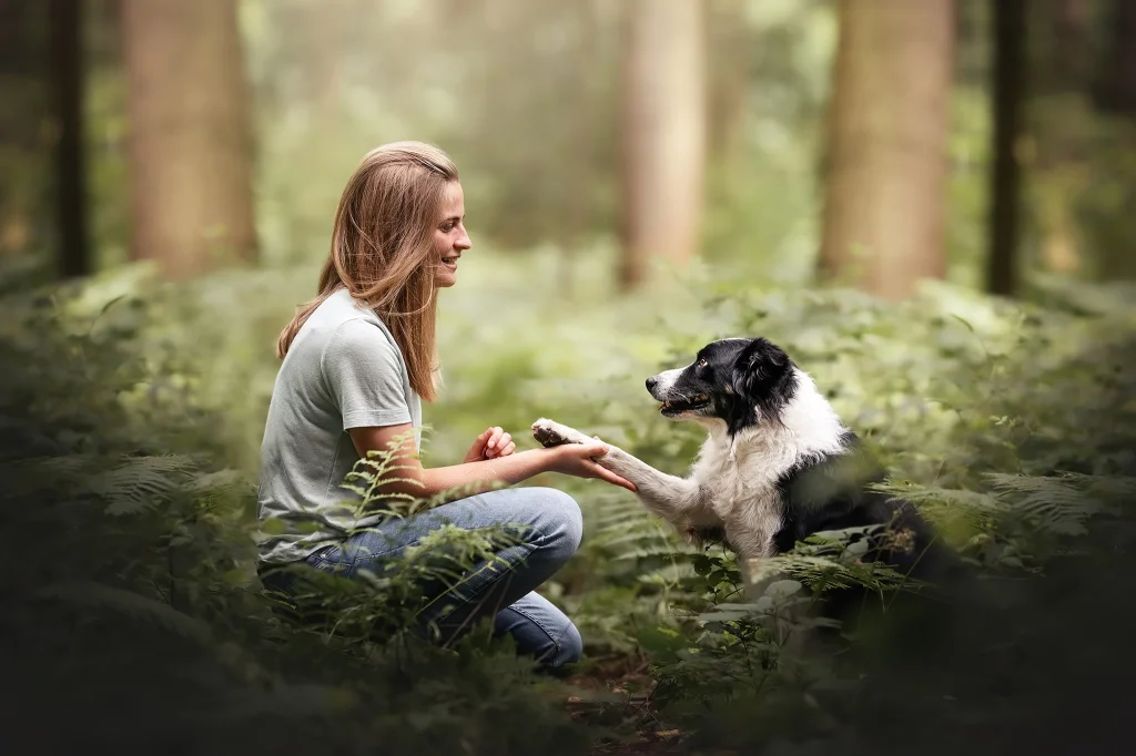 seance-photo-foret-rouen-