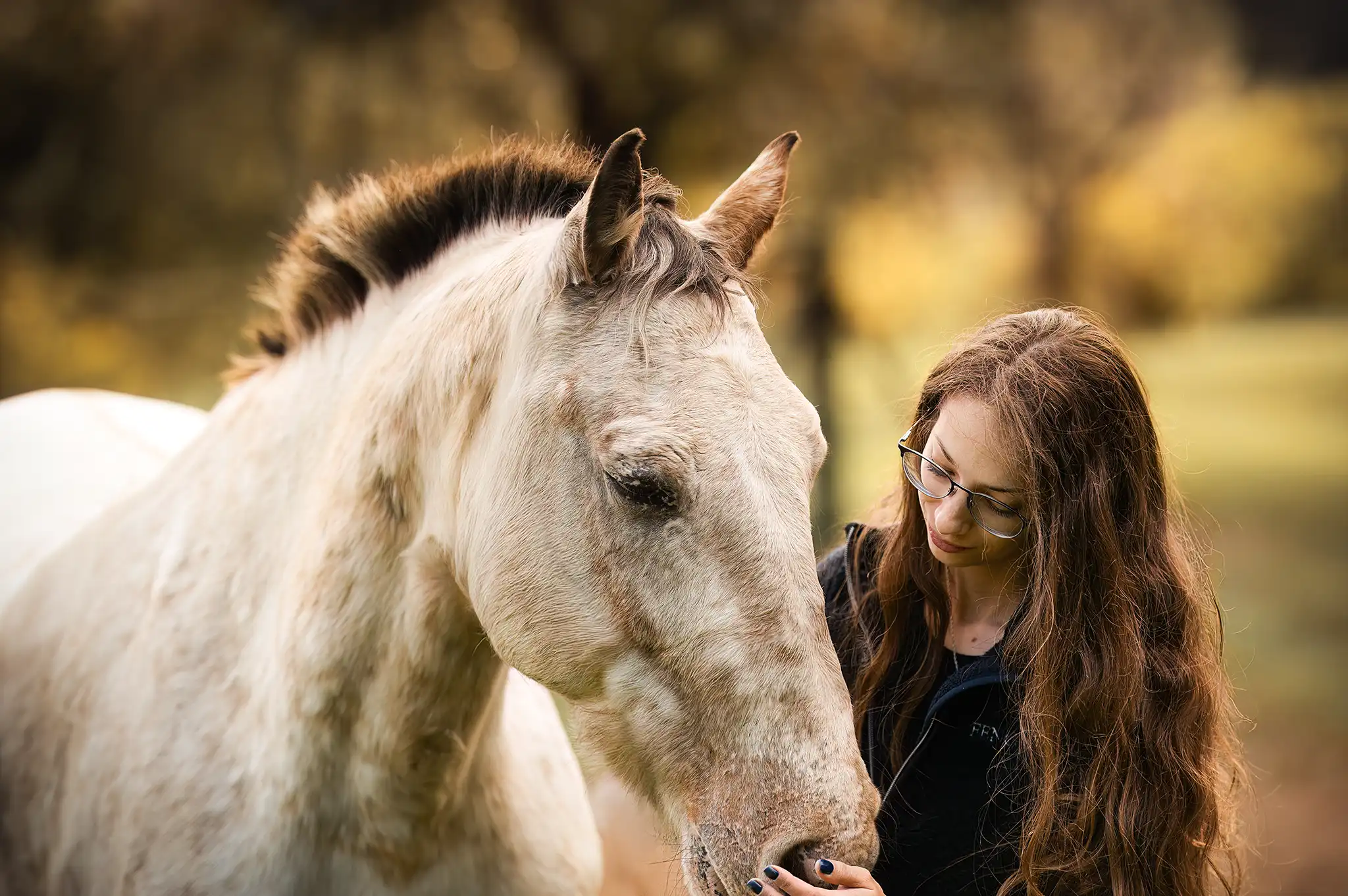 seance-photo-cheval-emotion-paris