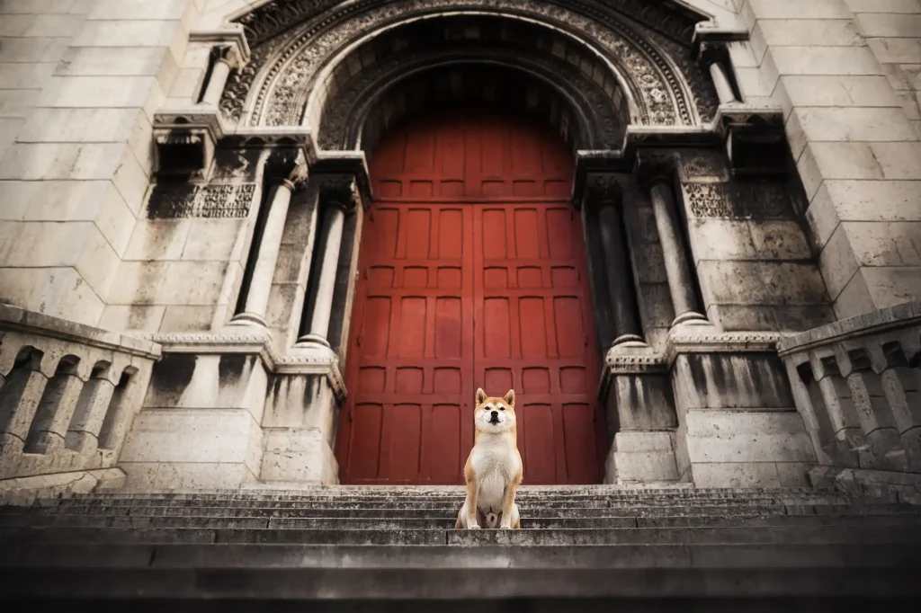 seance-canin-photo-pro-chien-paris-maison-montmartre