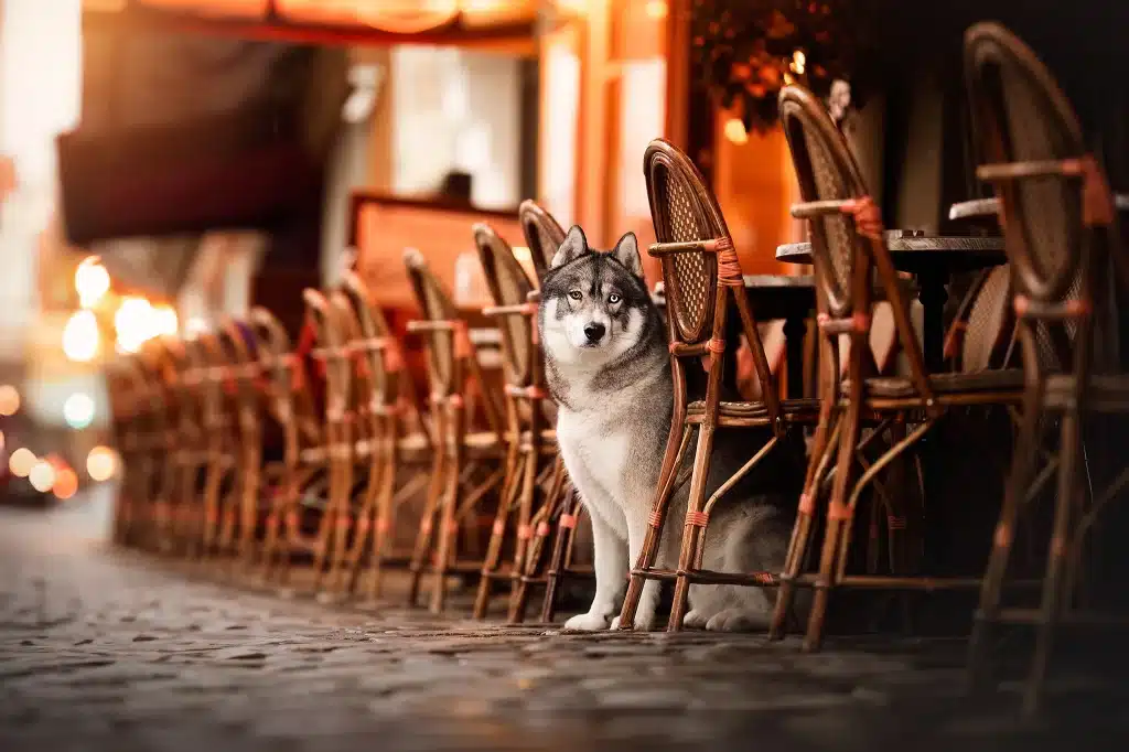 seance-photo-montmartre-paris-
