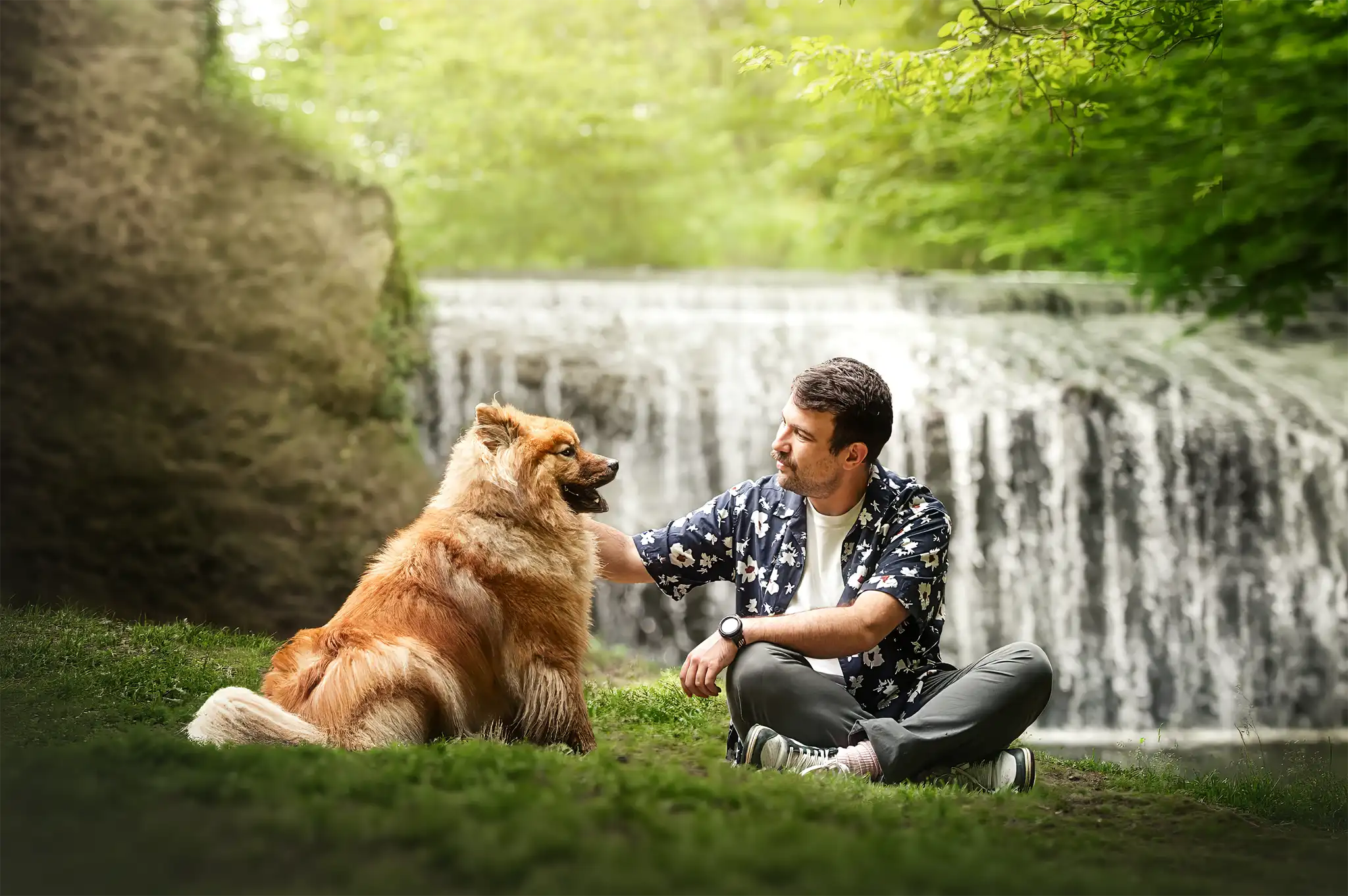 seance-photo-chien-famille-cascade