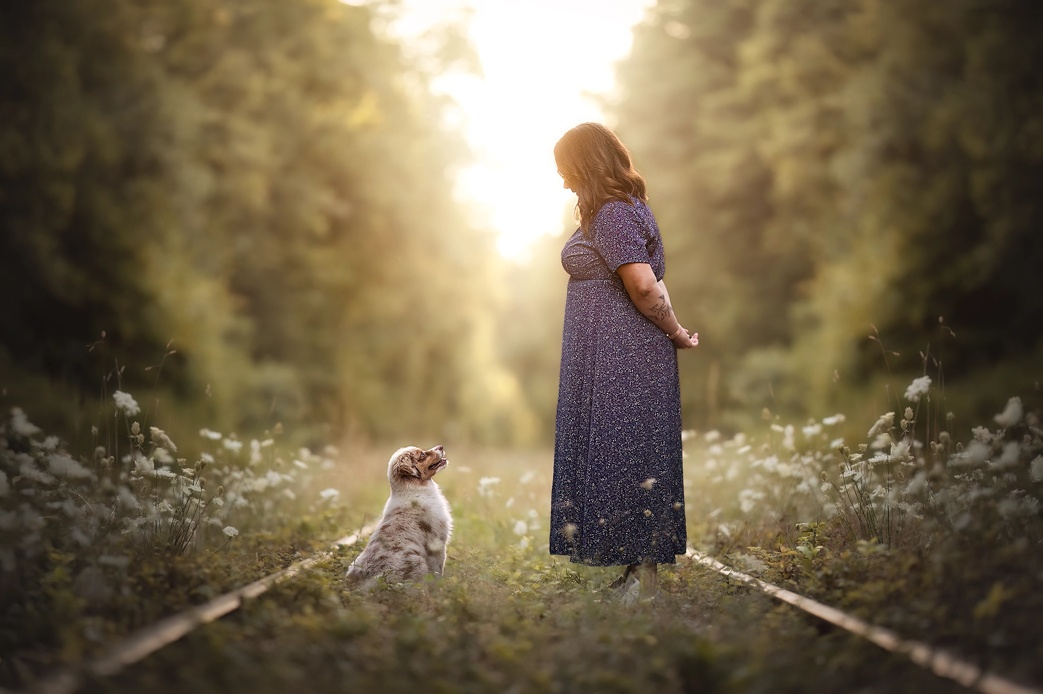 séance photo animalière chiot forêt de compiègne