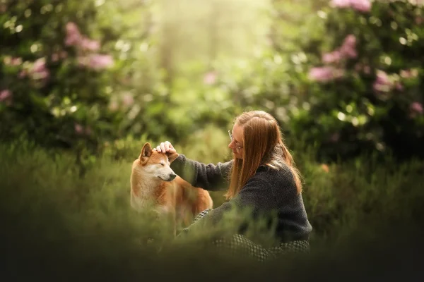 seance photo chien et humain forêt de rambouillet yvelines