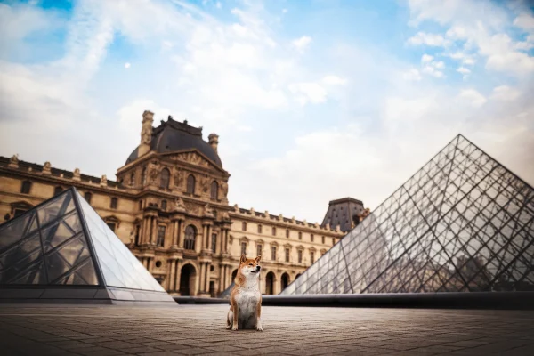 seance-photo-paris-louvre-shiba